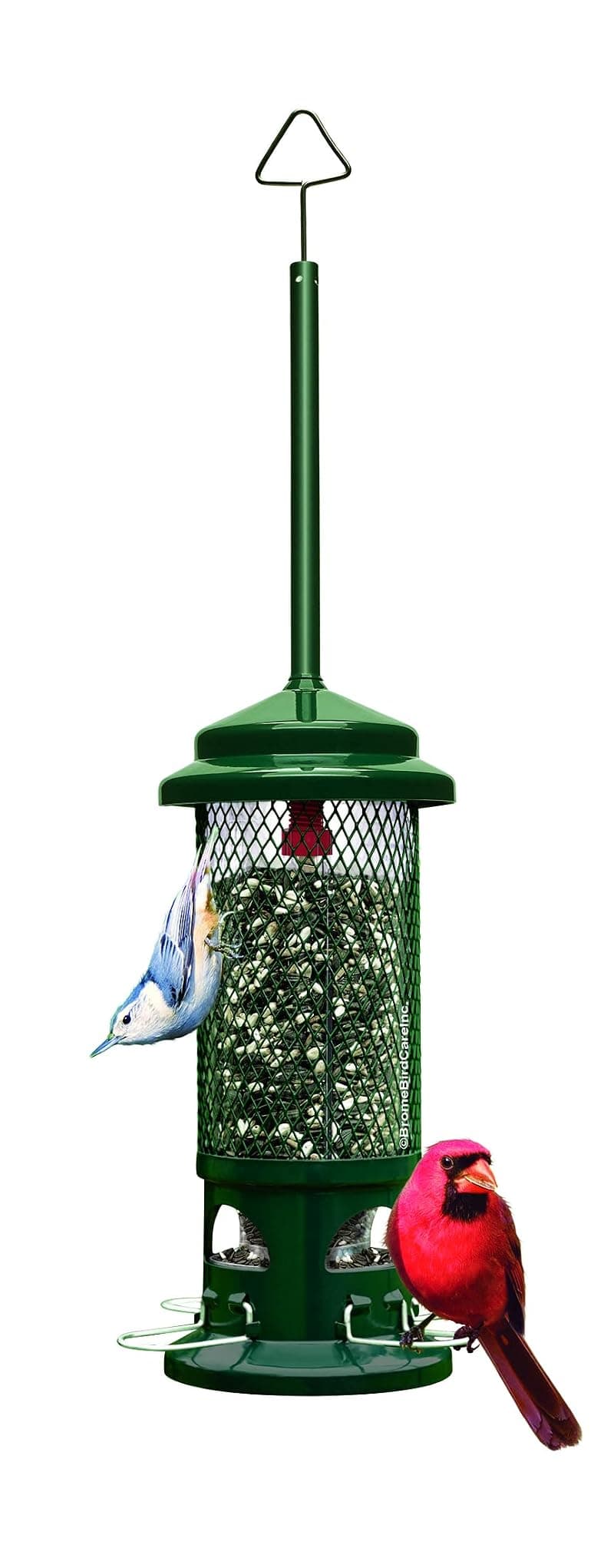 Squirrel Buster Standard Truly Squirrel-Proof Bird Feeder 1 Pack Bird Feeder